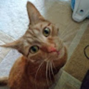 Meet your Posher, Maryanne